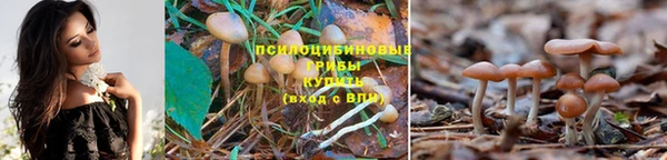 ешки Горнозаводск